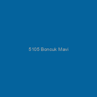 5105 Boncuk Mavi